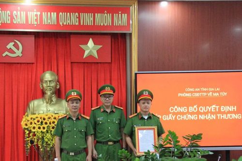 Trao chứng nhận thương binh cho cán bộ Công an bị đối tượng ma túy đâm trọng thương
