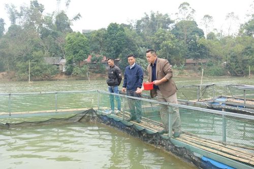 Để cá không chết chìm theo lũ