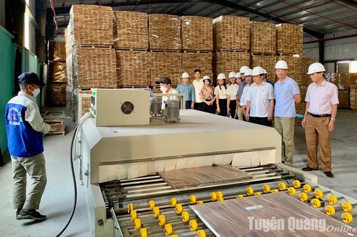 Tạo đà công nghiệp nông thôn phát triển
