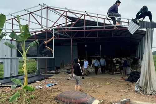 Vĩnh Phúc: Ráo riết xử lý xây dựng trái phép trên đất nông nghiệp tại huyện Vĩnh Tường