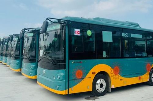 Đồng Nai đẩy mạnh chuyển đổi xe buýt xanh