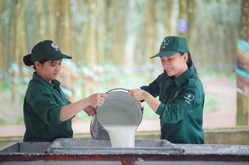 VRG trước thềm Đại hội cổ đông 2025: Bản lĩnh vượt khó, sẵn sàng cho sức bật mới