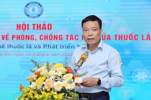 Thiệt hại kinh tế do thuốc lá gây ra lên tới 108.000 tỷ đồng mỗi năm