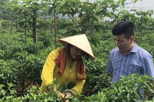 Đẩy nhanh tiến độ thực hiện các Chương trình mục tiêu quốc gia năm 2025