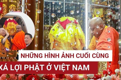 Thiêng liêng những hình ảnh cuối cùng của xá lợi Đức Phật tại Việt Nam