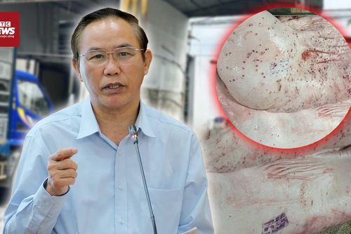 C.P. Việt Nam nghi bán thịt heo bẩn: Bộ NN&MT kiên quyết xử lý đến cùng