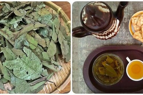 Cách làm trà lá ổi khô