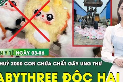 Bản Tin Y Tế 3/6: Tiêu hủy 2.000 con 'Baby Three' có chứa chất độc Formaldehyde gây ung thư