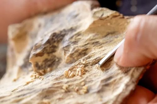 Việt Nam có thêm 11 di sản văn hóa phi vật thể quốc gia