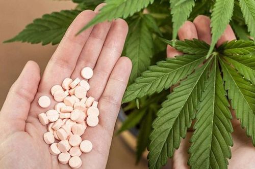 Nhóm cựu cảnh sát hình sự nhận tiền để bỏ qua, không xử lý người mang ma túy