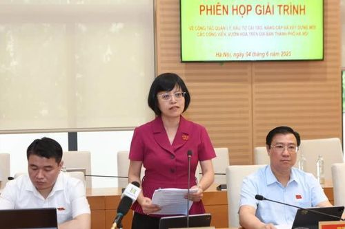 Làm rõ nguyên nhân, trách nhiệm chậm tiến độ dự án công viên