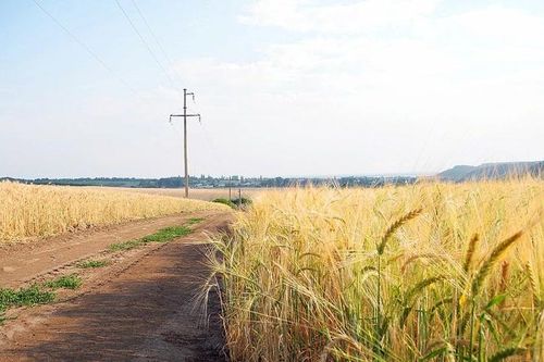 EU chấm dứt ưu đãi thuế, Ukraine đối mặt thách thức lớn
