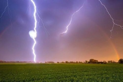 Đang gieo mạ trên đồng, một người đàn ông bị sét đánh tử vong