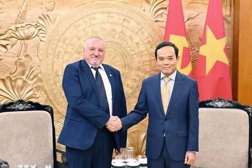 Trưởng Ban Chính sách Chiến lược Trung ương Trần Lưu Quang tiếp Đoàn Đảng Xã hội Hungary