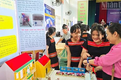 Thúc đẩy giáo dục STEM gắn với sức khỏe tâm thần và biến đổi khí hậu