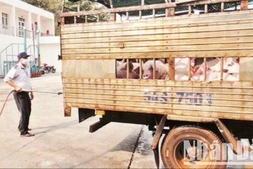 Bộ Nông nghiệp và Môi trường chỉ đạo làm rõ vụ đóng dấu kiểm dịch sai