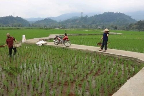 Nét mới trên đường nông thôn mới