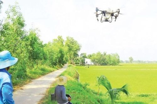 Khởi sắc làng quê kiểu mẫu