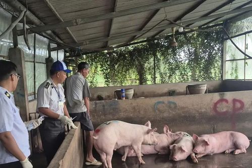 Kết quả kiểm tra lò giết mổ cho cửa hàng CP Fresh Shop tại Sóc Trăng