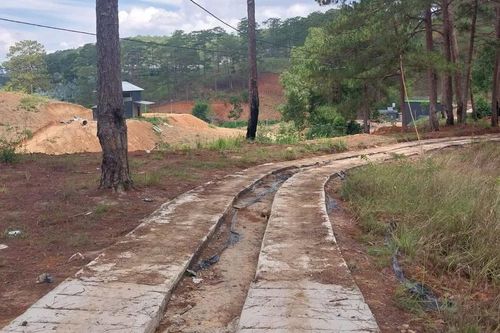 Đà Lạt: Xử lý đoạn đường bê tông trái phép băng qua rừng phòng hộ