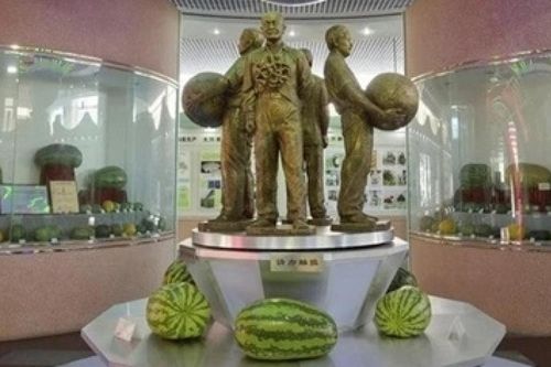 Nông dân Trung Quốc chia sẻ bí quyết trồng quả dưa hấu nặng hơn 97kg