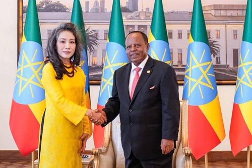 Việt Nam nghiên cứu khả năng sớm mở Cơ quan đại diện tại Ethiopia