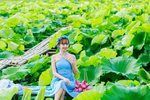 Giới trẻ 'đổ xô' đi chụp hình hoa sen nở sớm ở Hà Nội