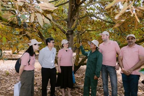 Cung cấp giải pháp canh tác bền vững, nâng cao vai trò phụ nữ