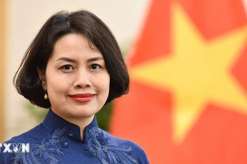 Đại sứ Phạm Thị Thanh Bình: Mở ra chương mới cho quan hệ Việt Nam-Estonia