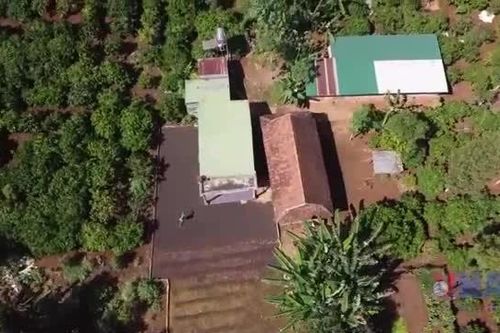 Người lầm lỡ trở về sinh hoạt tôn giáo chính thống, chung tay giữ gìn buôn làng