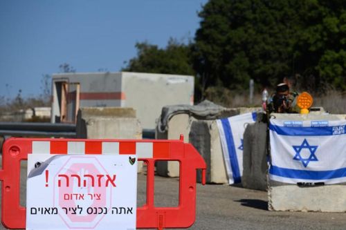 Hai con khỉ ở Liban vượt biên, 'gõ cửa' nhà dân Israel