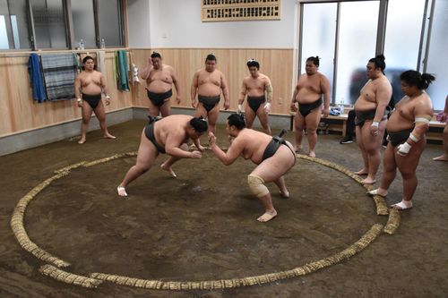 Sumo - Biểu tượng thể thao của Nhật Bản đang rơi vào thời kỳ khủng hoảng?