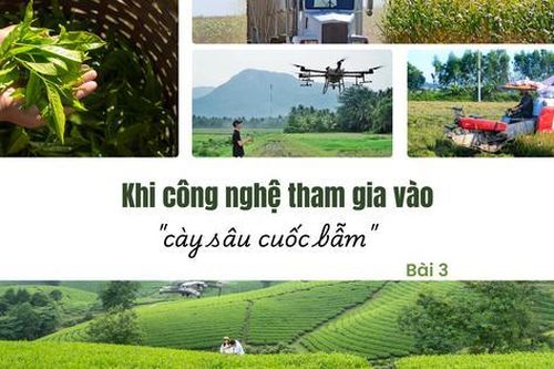 Khi công nghệ tham gia vào 'cày sâu cuốc bẫm' - Bài 3: Nông nghiệp hiện đại cần một hệ sinh thái bền vững