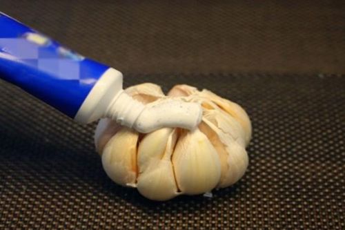 Đặt củ tỏi bôi kem đánh răng trong phòng tắm: Mẹo nhỏ ít ai ngờ tới, hiệu quả bất ngờ