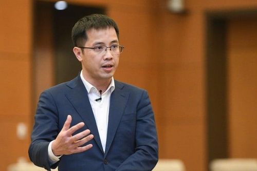 Ma trận thủ tục đầu tư bủa vây dự án