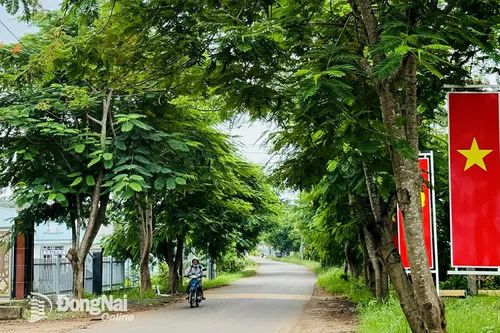 Tỉnh công nghiệp xây dựng nông thôn xanh, sạch