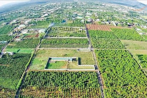UBND tỉnh trả lời kiến nghị của cử tri Pleiku liên quan đến cấp giấy chứng nhận quyền sử dụng đất