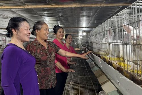 Gắn kết liên thế hệ