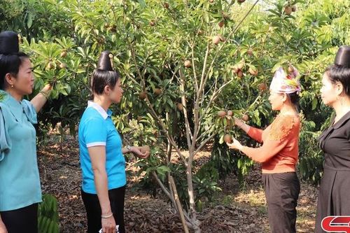 Tiếp thêm động lực cho hội viên làm giàu