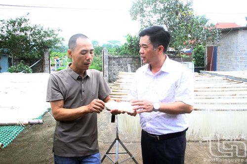 Mỳ Tiến Diện chinh phục thị trường Đức