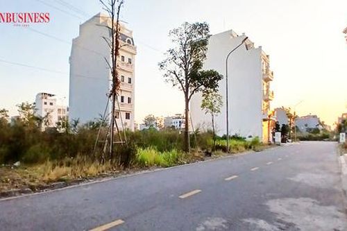 Đi vào 'vết xe đổ', nhà đầu tư lỗ tiền tỷ vì đu sóng đất đấu giá