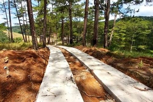 Tháo dỡ đường bê tông trong rừng phòng hộ tại Đà Lạt