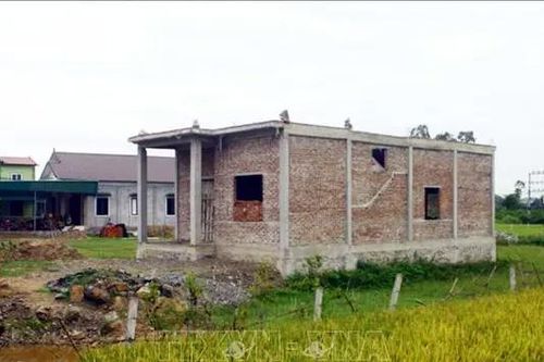 Xử lý nghiêm vi phạm trên đất nông nghiệp
