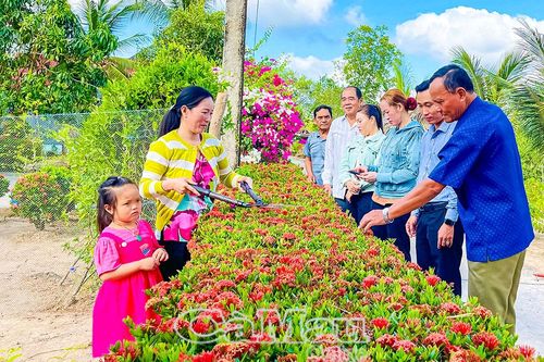 Ðịnh Bình về đích xã nông thôn mới nâng cao