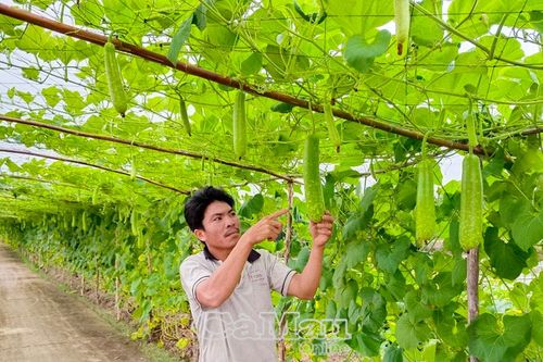 Vốn chính sách giải quyết việc làm, tăng thu nhập
