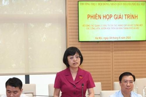 Làm rõ trách nhiệm để chậm tiến độ dự án hai công viên lớn tại Hà Nội