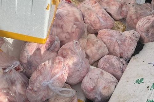 Chặn đứng gần 700kg thịt lợn, nội tạng động vật không đảm bảo an toàn vệ sinh thực phẩm