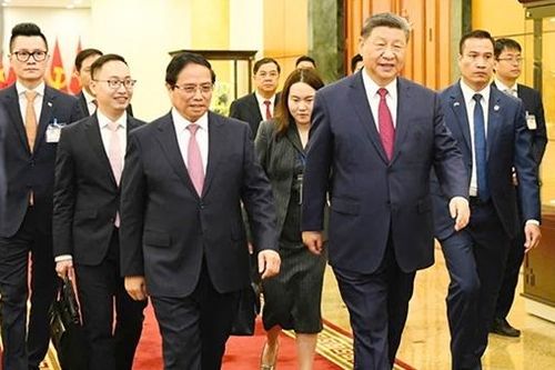 Chuyện của những 'lá chắn sống'