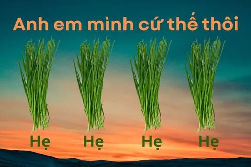 Trend 'Anh em mình cứ thế thôi, hẹ hẹ hẹ' bắt nguồn từ đâu mà viral trên MXH?