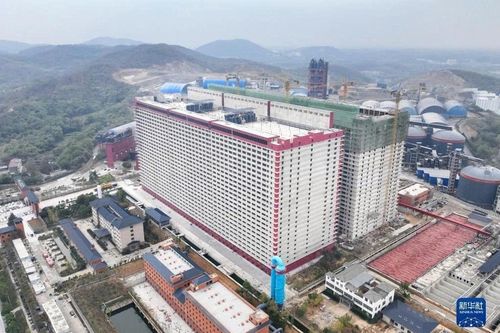 BAF 'bắt tay' Tập đoàn Trung Quốc đề xuất mô hình xây chung cư nuôi lợn
